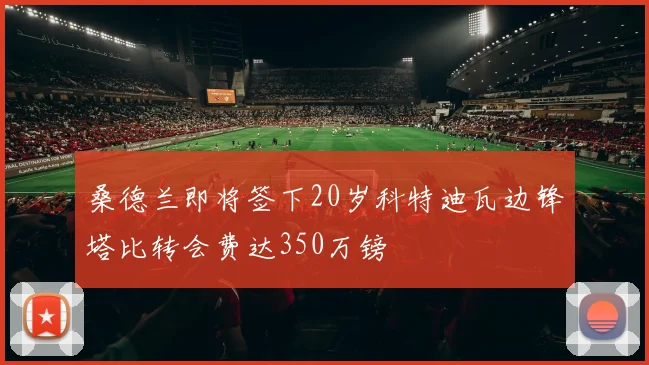 桑德兰即将签下20岁科特迪瓦边锋塔比转会费达350万镑