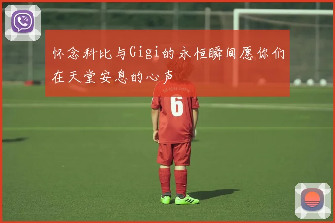 怀念科比与Gigi的永恒瞬间愿你们在天堂安息的心声