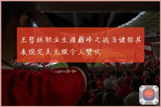 王哲林职业生涯巅峰之战马健称其表现完美无瑕令人赞叹