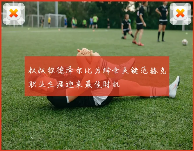 叔叔称德泽尔比为转会关键范赫克职业生涯迎来最佳时机